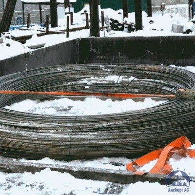 Проволока овальная 0,22х0,3-1-55 ГОСТ 3875-83 купить в Курске
